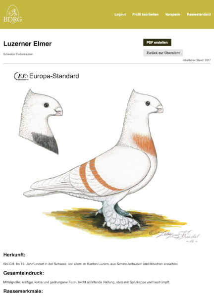 Digitaler Deutsche Rassetaubenstandard des BDRG 2025